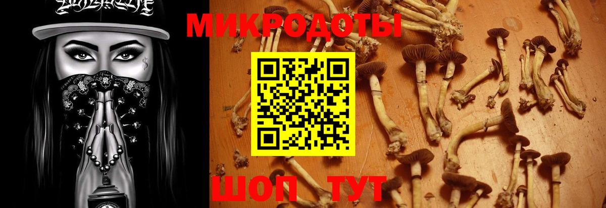 Псилоцибиновые грибы Magic Shrooms Северск