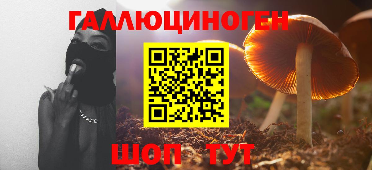 Псилоцибиновые грибы Psilocybine cubensis  Вход с VPN  Северск 